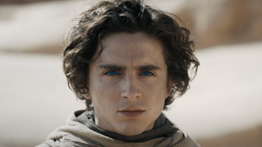 Portrait photo of Timothée Chalamet in Dune 2